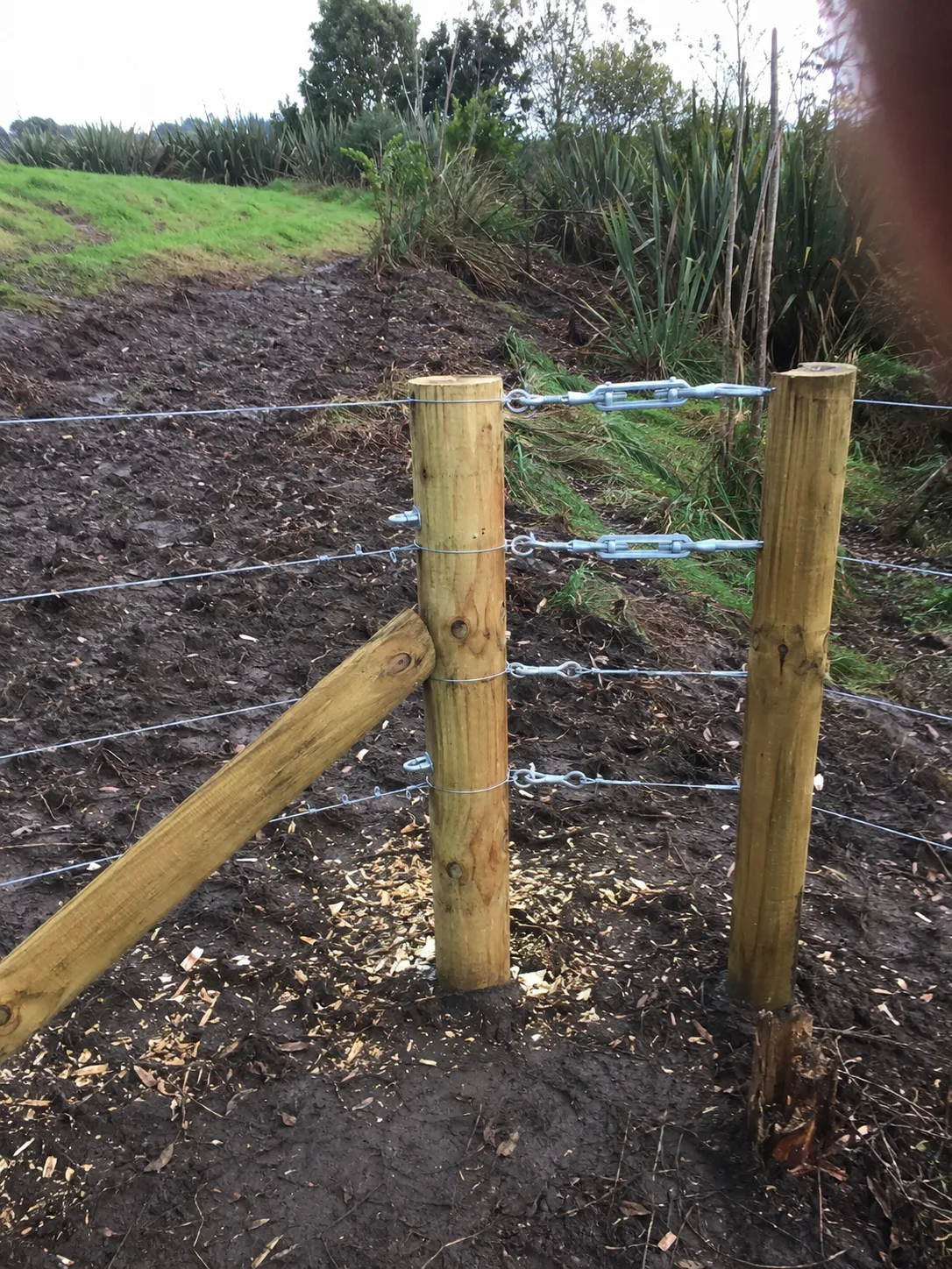 Timber strainer posts and tensioned wires on a rural fence